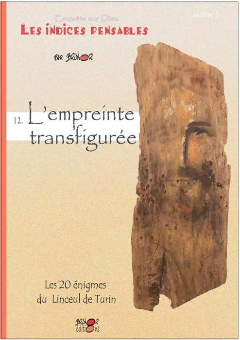 Emprunter Enquêtes sur Dieu - Les indices pensables Tome 12 : L'empreinte transfigurée. Vingt énigmes du lince livre