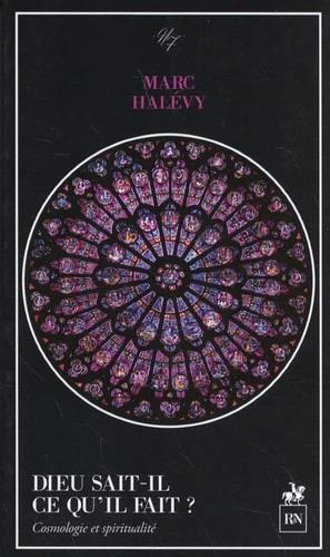 Emprunter Dieu sait-il ce qu'il fait ? Cosmologie et spiritualité livre