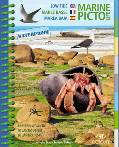 Emprunter Pictolife Marée basse - Atlantique est livre