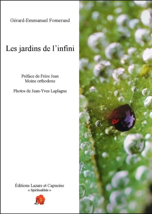 Emprunter Les jardins de l'infini livre