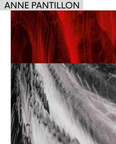 Emprunter Anne Pantillon. Edition bilingue français-anglais livre