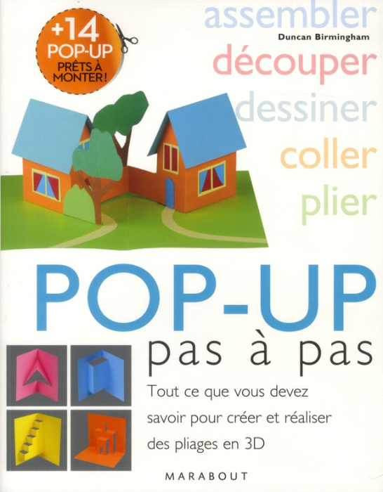 Emprunter Pop-up pas à pas / Tout ce que vous devez savoir pour créer et réaliser des pliages en 3D livre