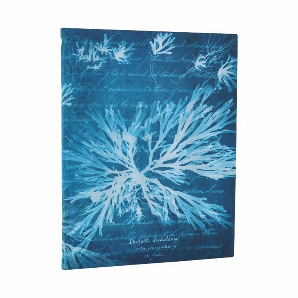 Emprunter CARNET NON LIGNE ULTRA SOUPLE - SEA FLOWERS, ANNA ATKINS CYANOTYPES livre