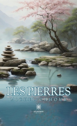 Emprunter Les pierres livre