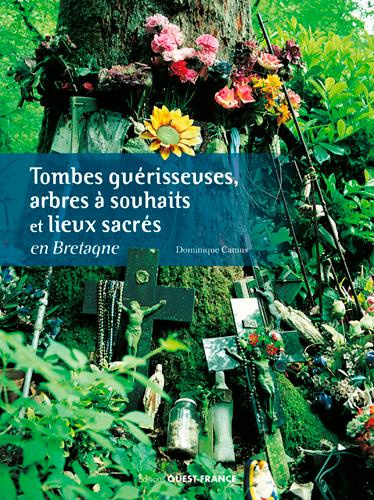 Emprunter Tombes guérisseuses, arbres à souhaits et lieux sacrés en Bretagne livre