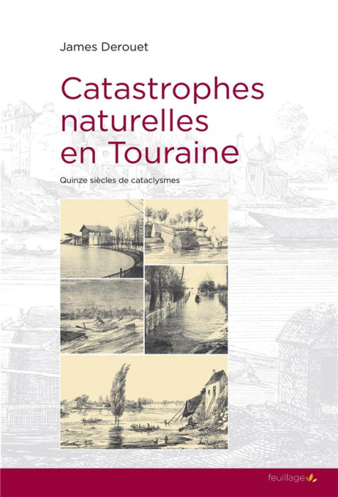 Emprunter Catastrophes naturelles en Touraine. Quinze siècles de cataclysmes livre
