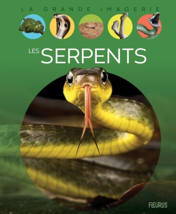 Emprunter Les serpents livre