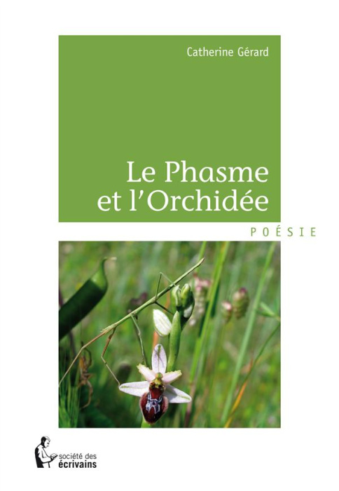 Emprunter Le phasme et l'orchidée livre