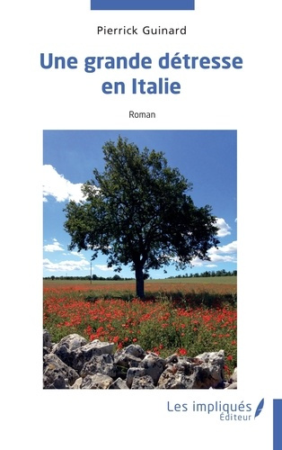 Emprunter Une grande détresse en Italie livre