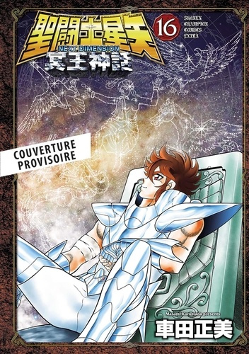 Emprunter Saint Seiya Next Dimension Tome 16 livre