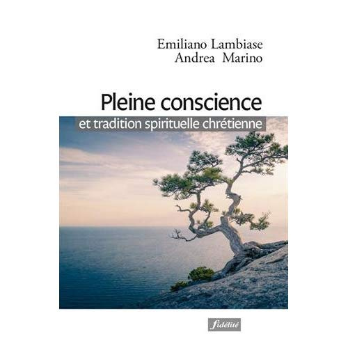 Emprunter Pleine conscience et tradition spirituelle chrétienne livre