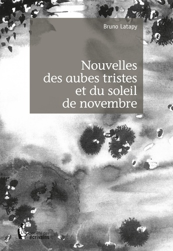 Emprunter Nouvelles des aubes tristes et du soleil de novembre - Tome 1 livre