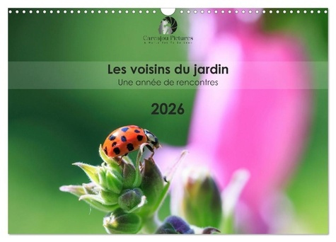 Emprunter Les voisins du jardin - Une année de rencontres (Calendrier mural 2026 DIN A3 vertical), CALVENDO ca livre