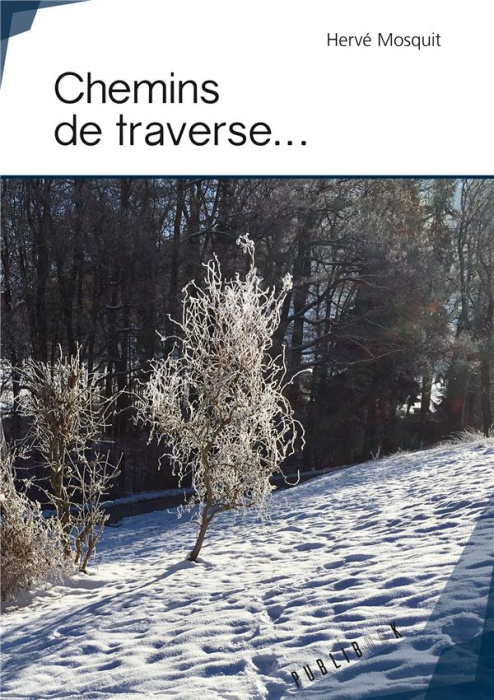 Emprunter Chemins de traverse... livre