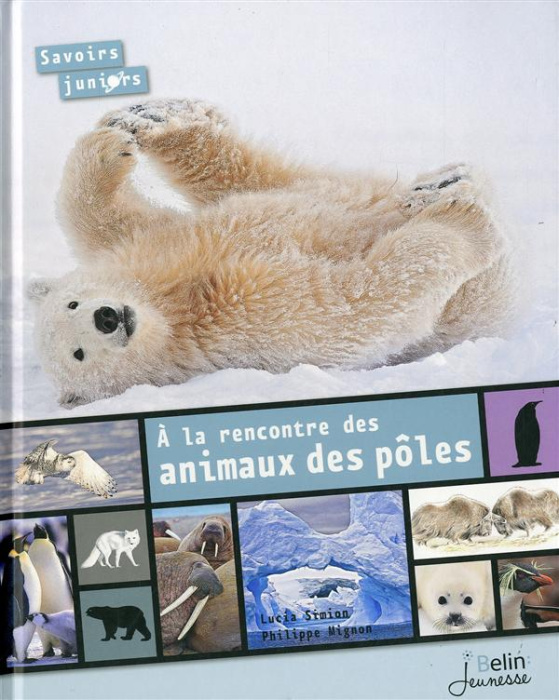 Emprunter A la rencontre des animaux des pôles livre