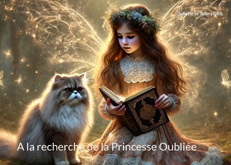 Emprunter A la recherche de la Princesse Oubliée livre