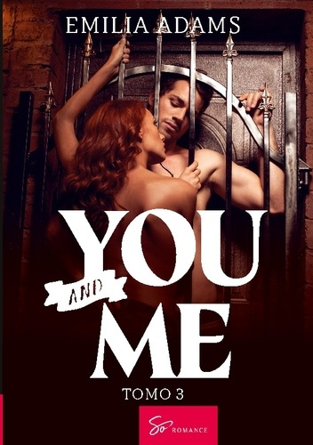 Emprunter You and me tomo 3. Un invierno tormentoso livre