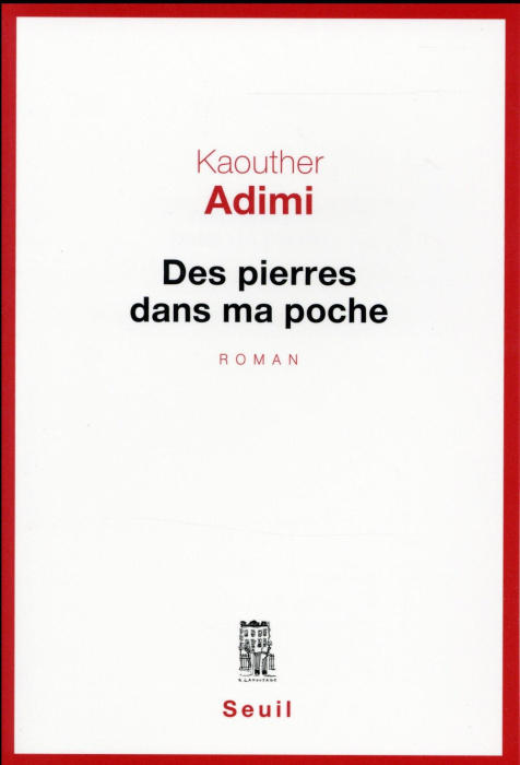 Emprunter Des pierres dans ma poche livre