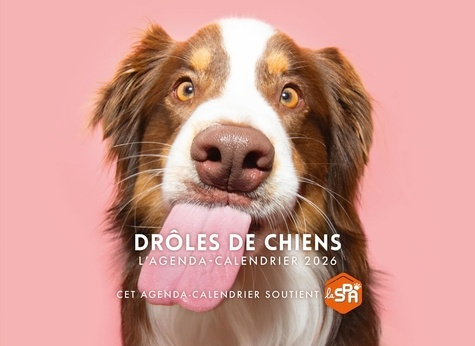 Emprunter L'agenda-calendrier Drôles de chiens. Edition 2026 livre