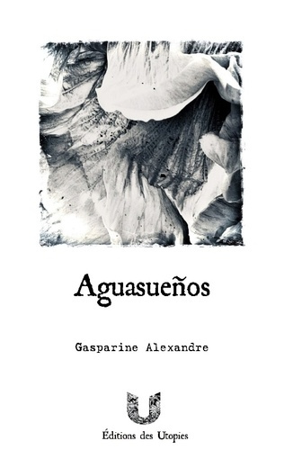 Emprunter Aguasueños. Pollutions nocturnes et grande déconfiture livre