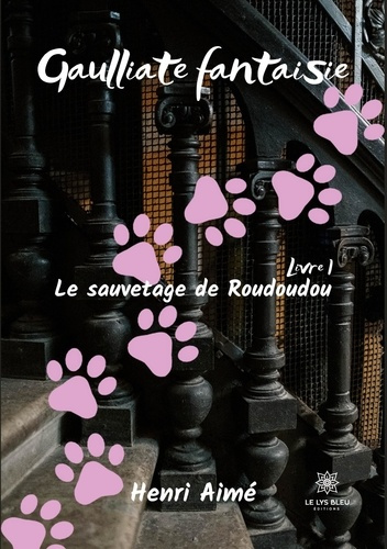 Emprunter Gaulliate fantaisie Tome 1 : Le sauvetage de Roudoudou livre