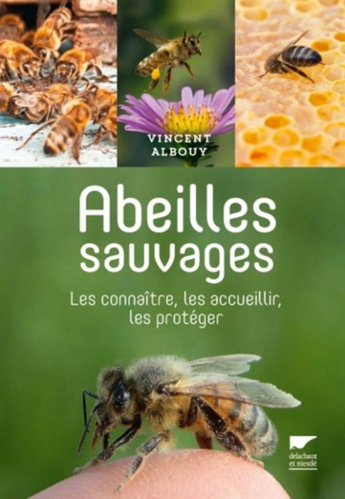 Emprunter Abeilles sauvages. Les connaître, les accueillir, les protéger livre