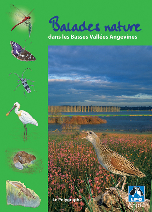 Emprunter Balades Nature Dans Les Basses Vallées livre