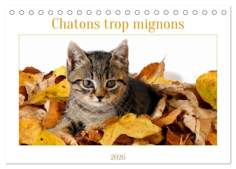 Emprunter Chatons trop mignons (Calendrier de bureau 2026 DIN A5 vertical), CALVENDO calendrier mensuel. Les p livre