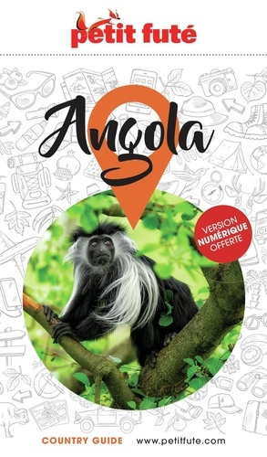 Emprunter GUIDE ANGOLA 2026/2027 PETIT FUTE livre