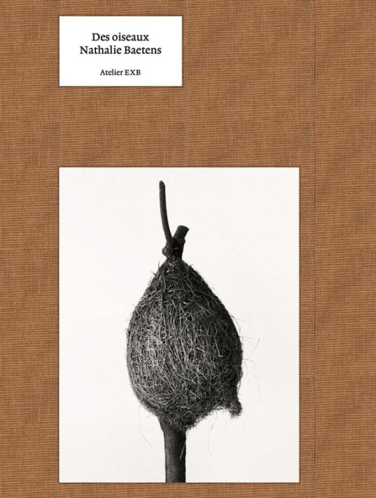 Emprunter Des oiseaux livre