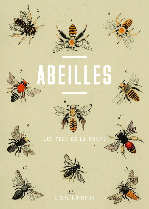 Emprunter Abeilles. Les fées de la ruche livre
