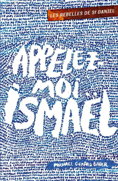 Emprunter Les rebelles de St Daniel Tome 1 : Appelez-moi Ismaël livre