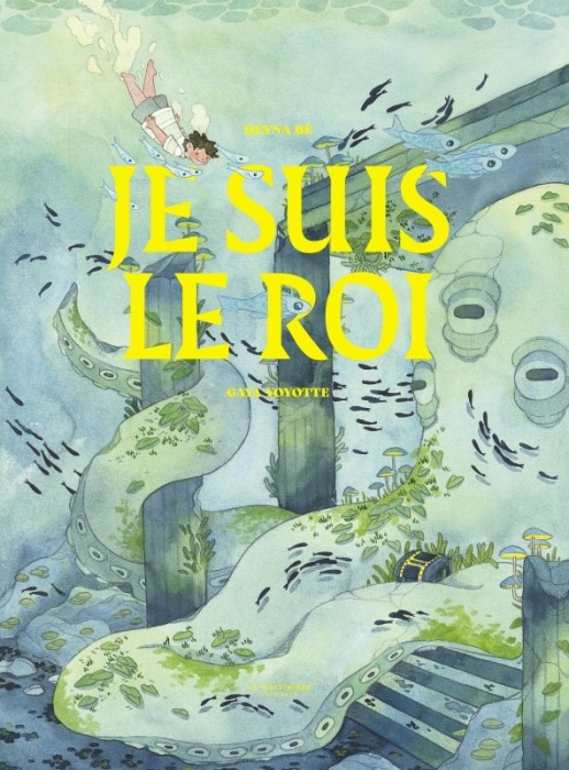 Emprunter Je suis le roi livre