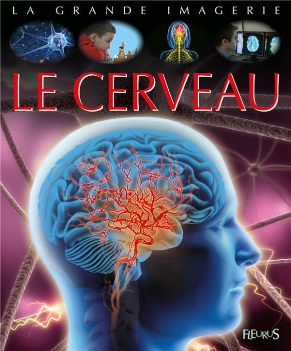 Emprunter Le cerveau livre