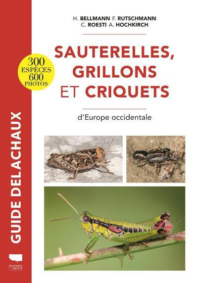 Emprunter Sauterelles, grillons et criquets d'Europe occidentale livre