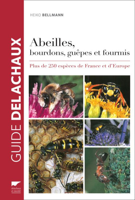 Emprunter Abeilles, bourdons, guêpes et fourmis livre