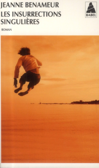 Emprunter Les insurrections singulières livre