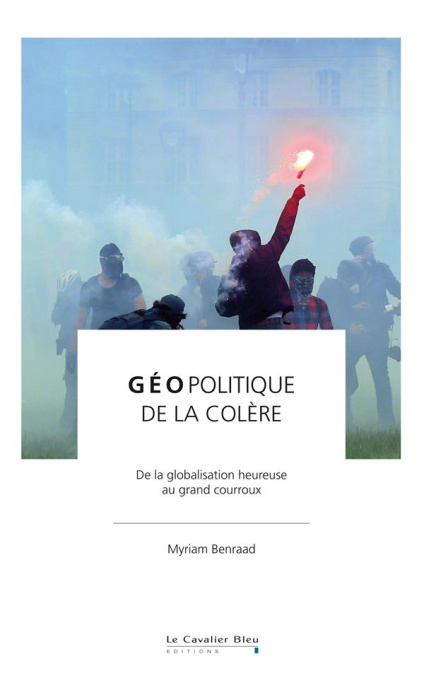 Emprunter Géopolitique de la colère. De la globalisation heureuse au grand courroux livre