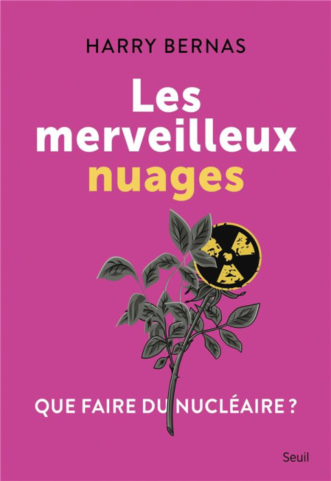 Emprunter Les merveilleux nuages. Que faire du nucléaire ? livre