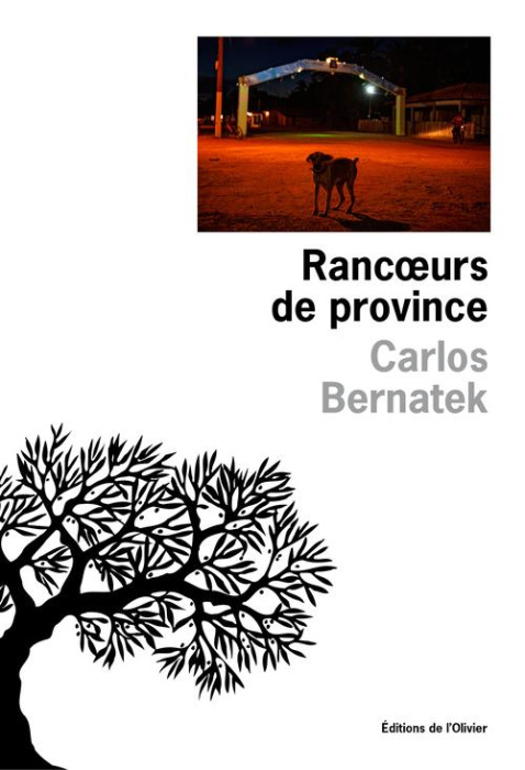Emprunter Rancoeurs de province livre