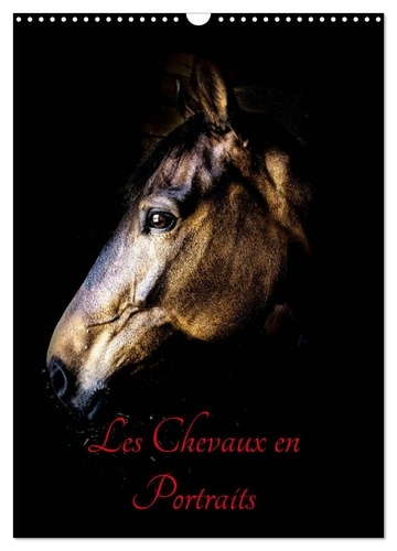 Emprunter Chevaux en Portraits (Calendrier mural 2026 DIN A3 horizontal), CALVENDO calendrier mensuel. Portrai livre