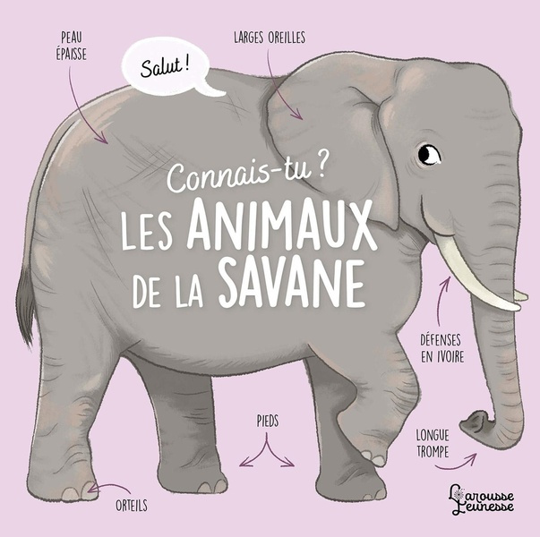 Emprunter Connais-tu les animaux de la savane ? livre