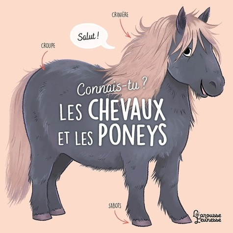 Emprunter Connais-tu les chevaux et les poneys ? livre