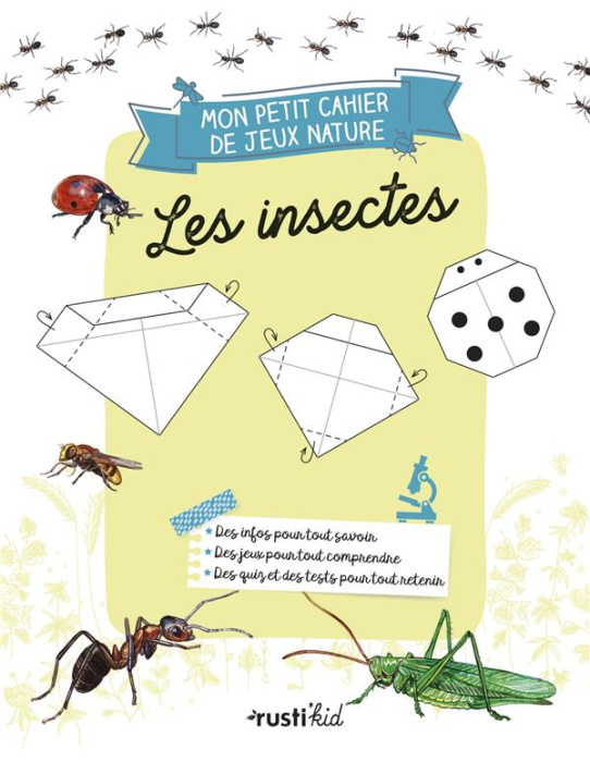 Emprunter Les insectes livre