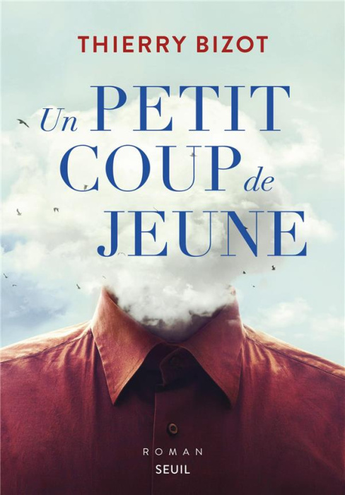 Emprunter Un petit coup de jeune livre