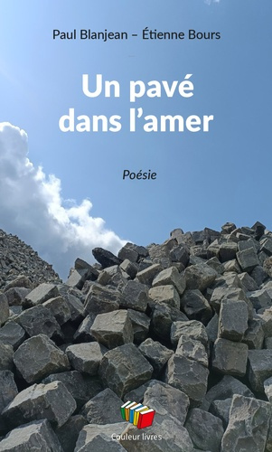 Emprunter Un pave dans l'amer livre