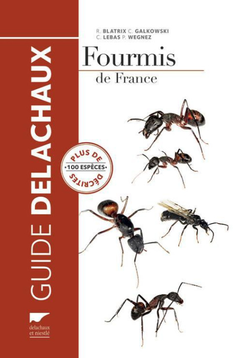 Emprunter Fourmis de France, de Belgique et du Luxembourg livre