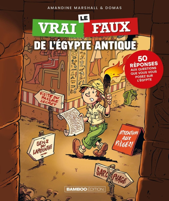 Emprunter Le vrai/faux de l'Egypte antique livre