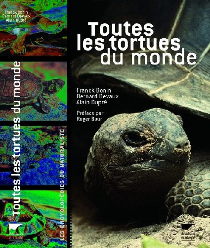 Emprunter Toutes les tortues du monde livre
