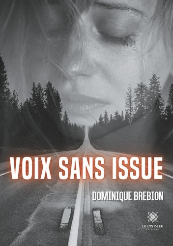 Emprunter Voix sans issue livre
